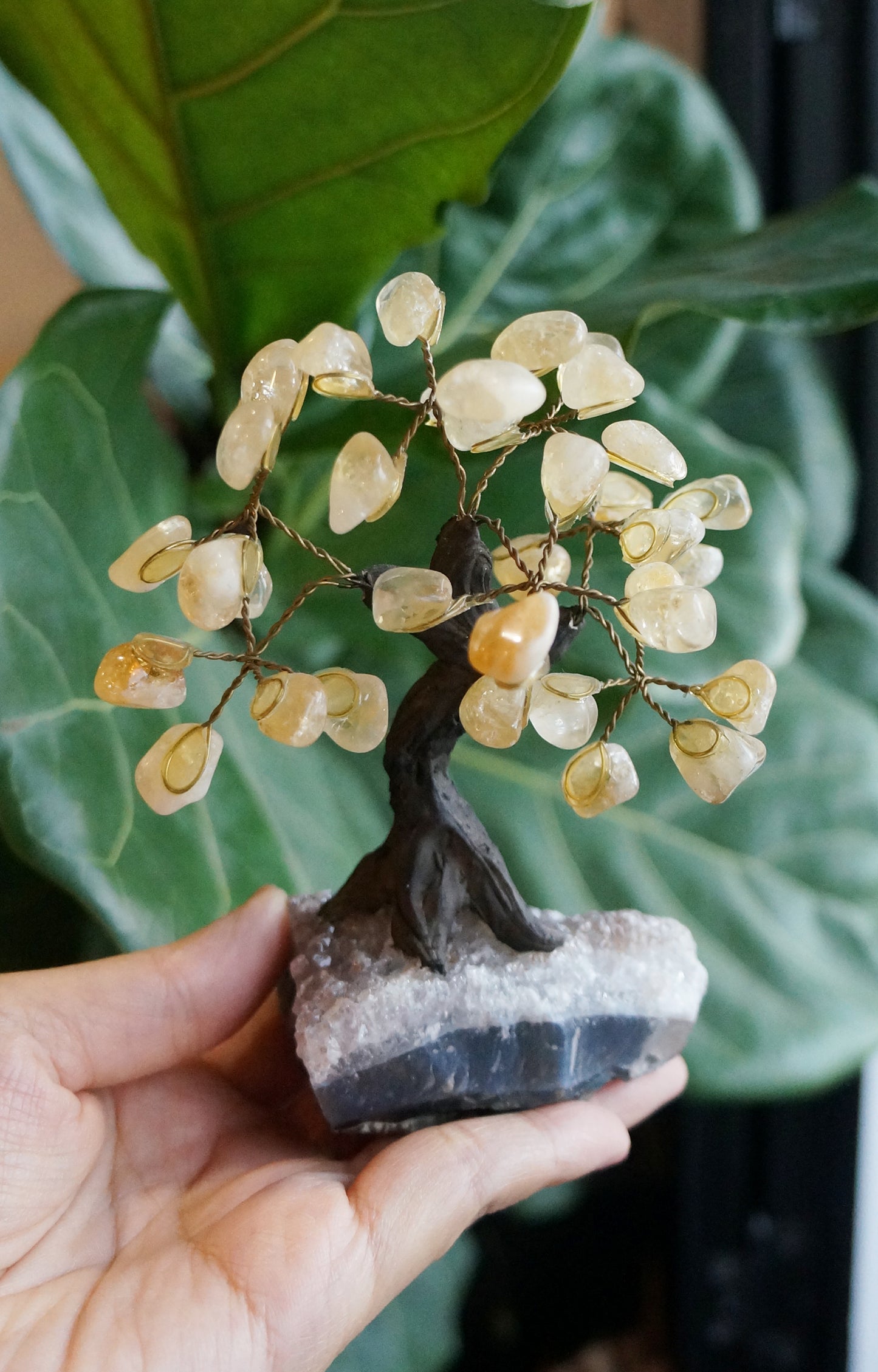 On Sale|招財水晶樹