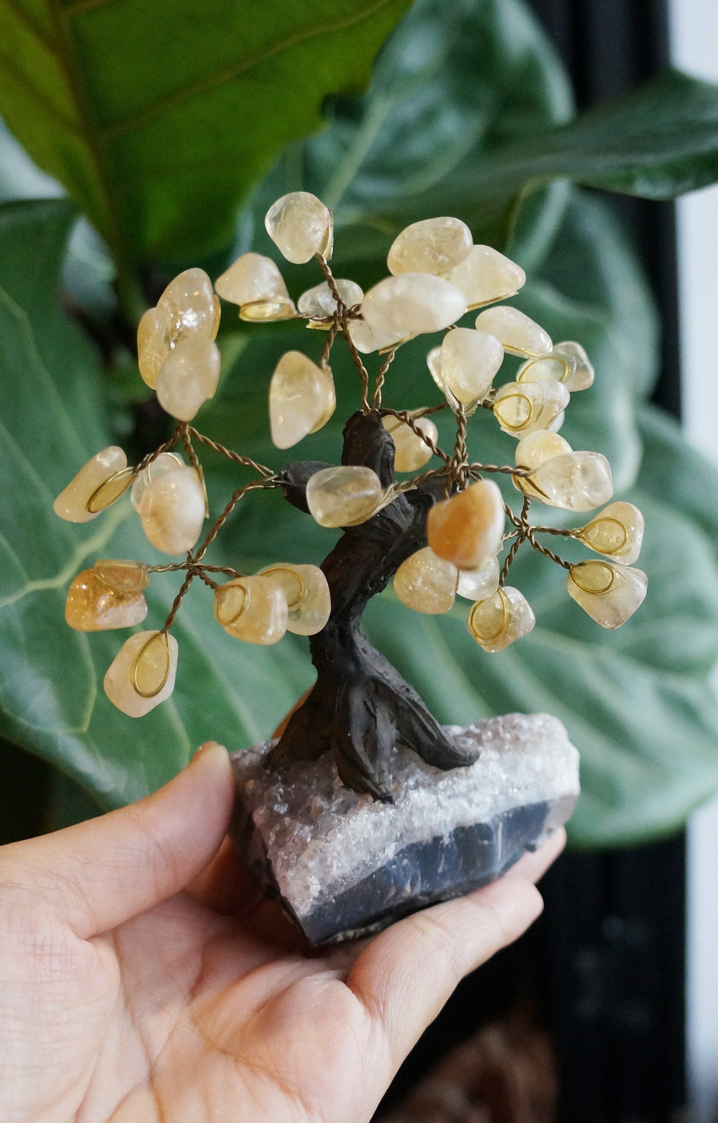 On Sale|招財水晶樹