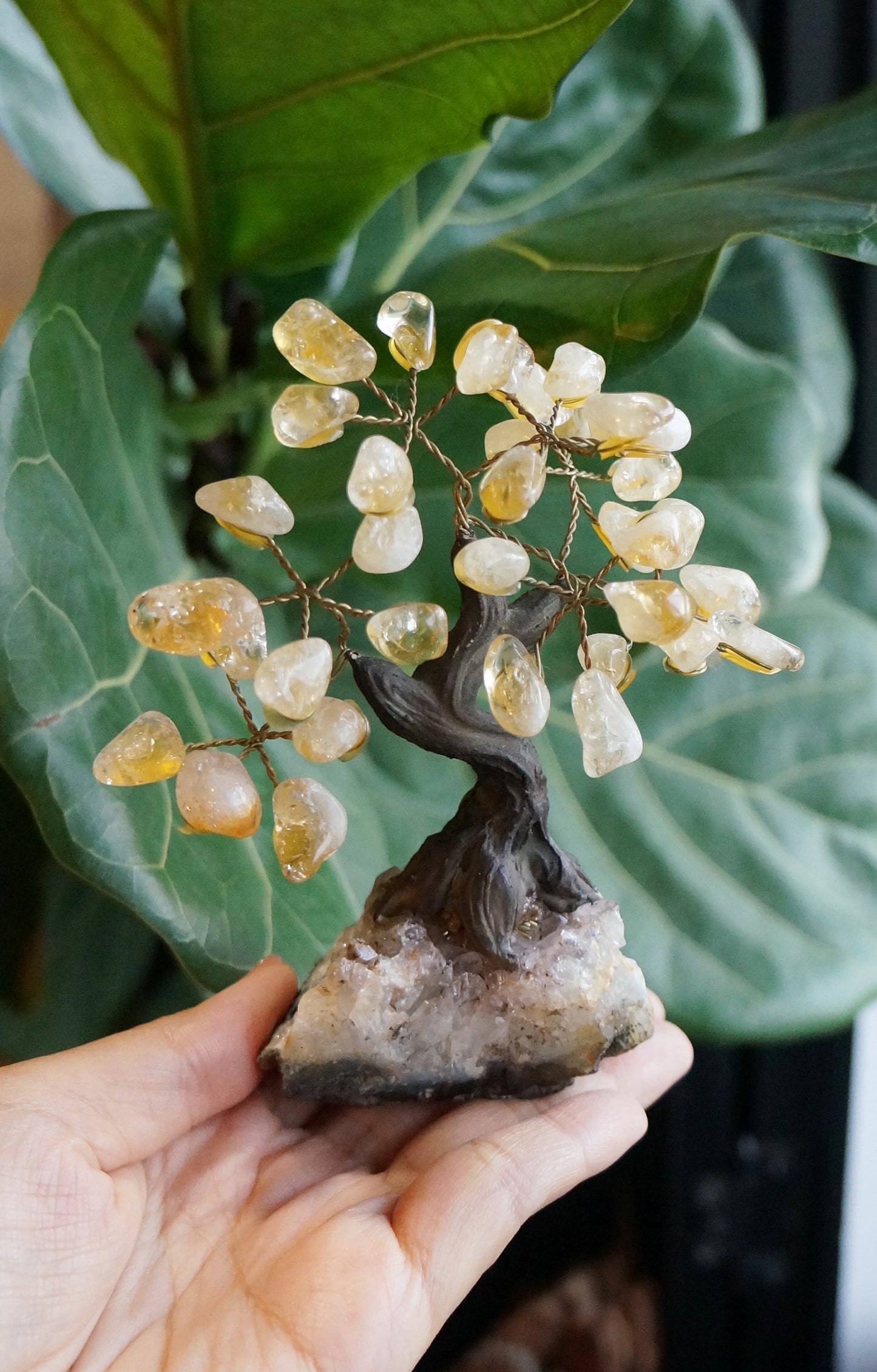 On Sale|招財水晶樹