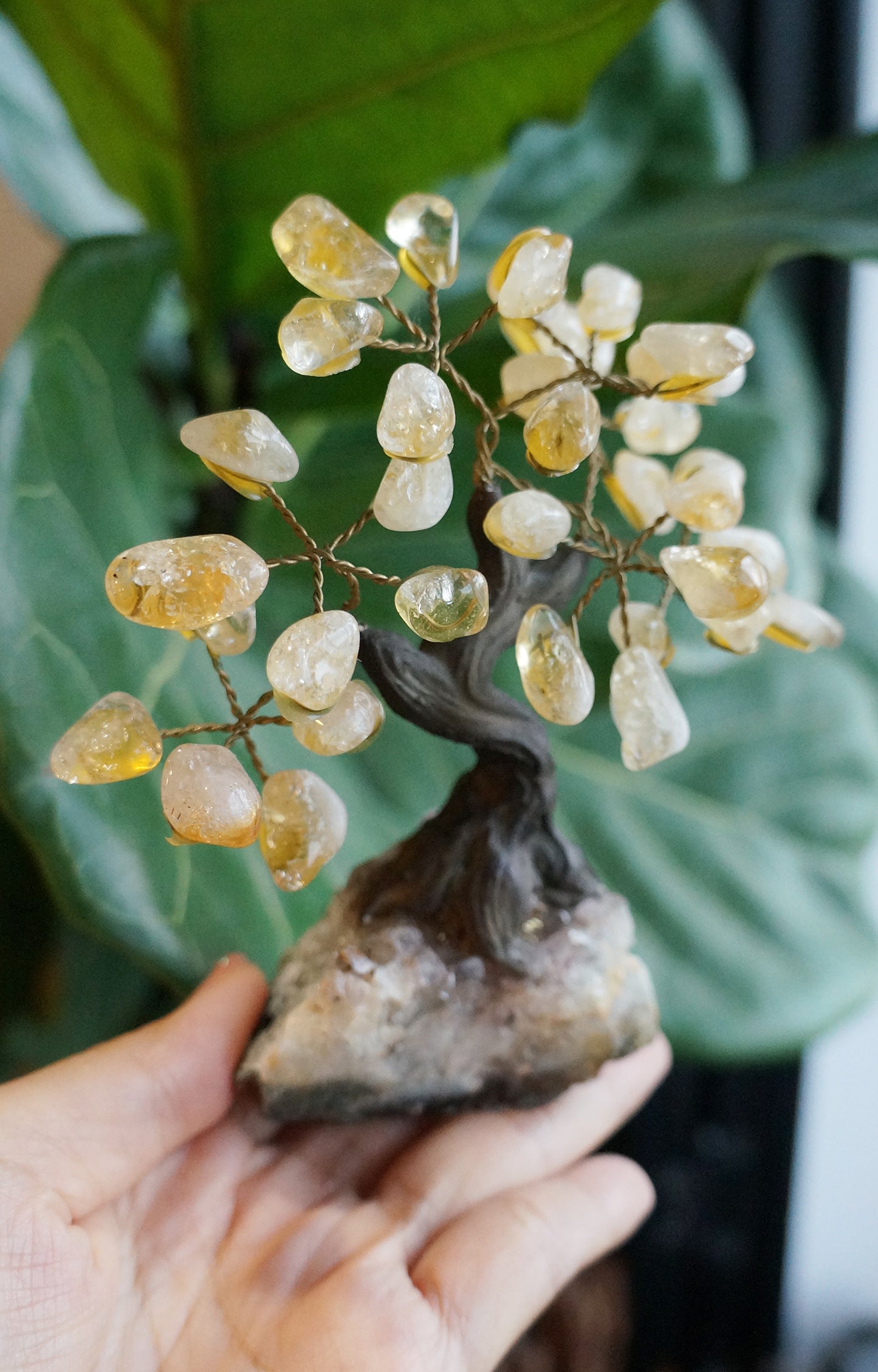 On Sale|招財水晶樹