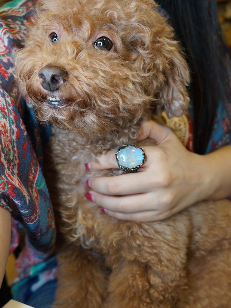 自然流動力|藍暈月光石戒指