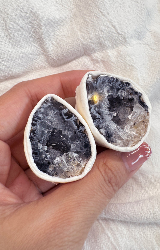 On Sale|愛情雷公蛋・好運蛋 T081203-11