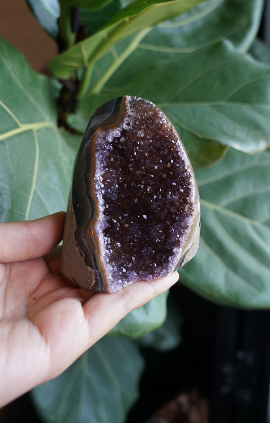 On Sale|富貴紫黃水晶鎮 T081604-2