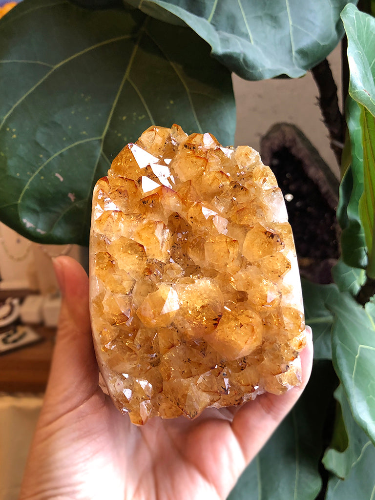 陽曜之鎮|招財大牙黃水晶晶陣