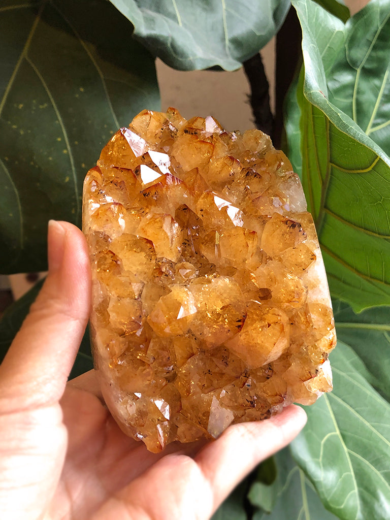 陽曜之鎮|招財大牙黃水晶晶陣