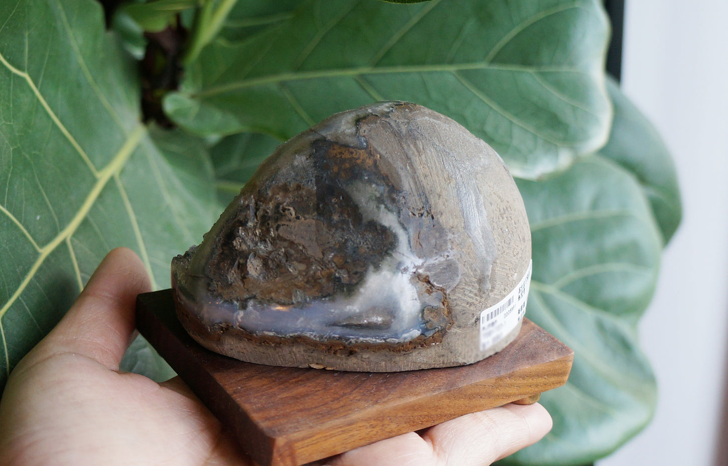 On Sale|滿地金花紫晶小洞 T081723-1