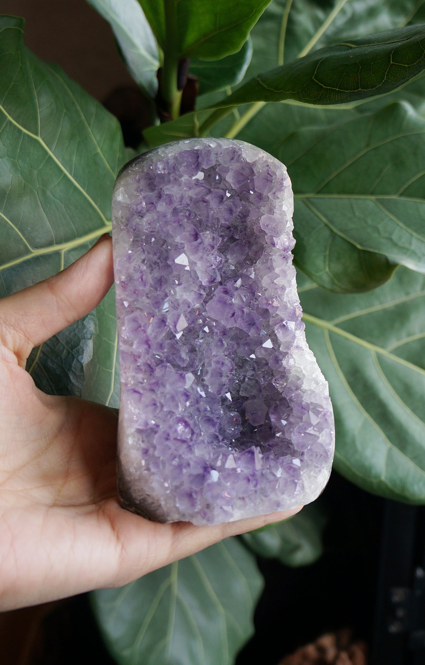 On Sale|幻影小山紫水晶鎮 T082102-1