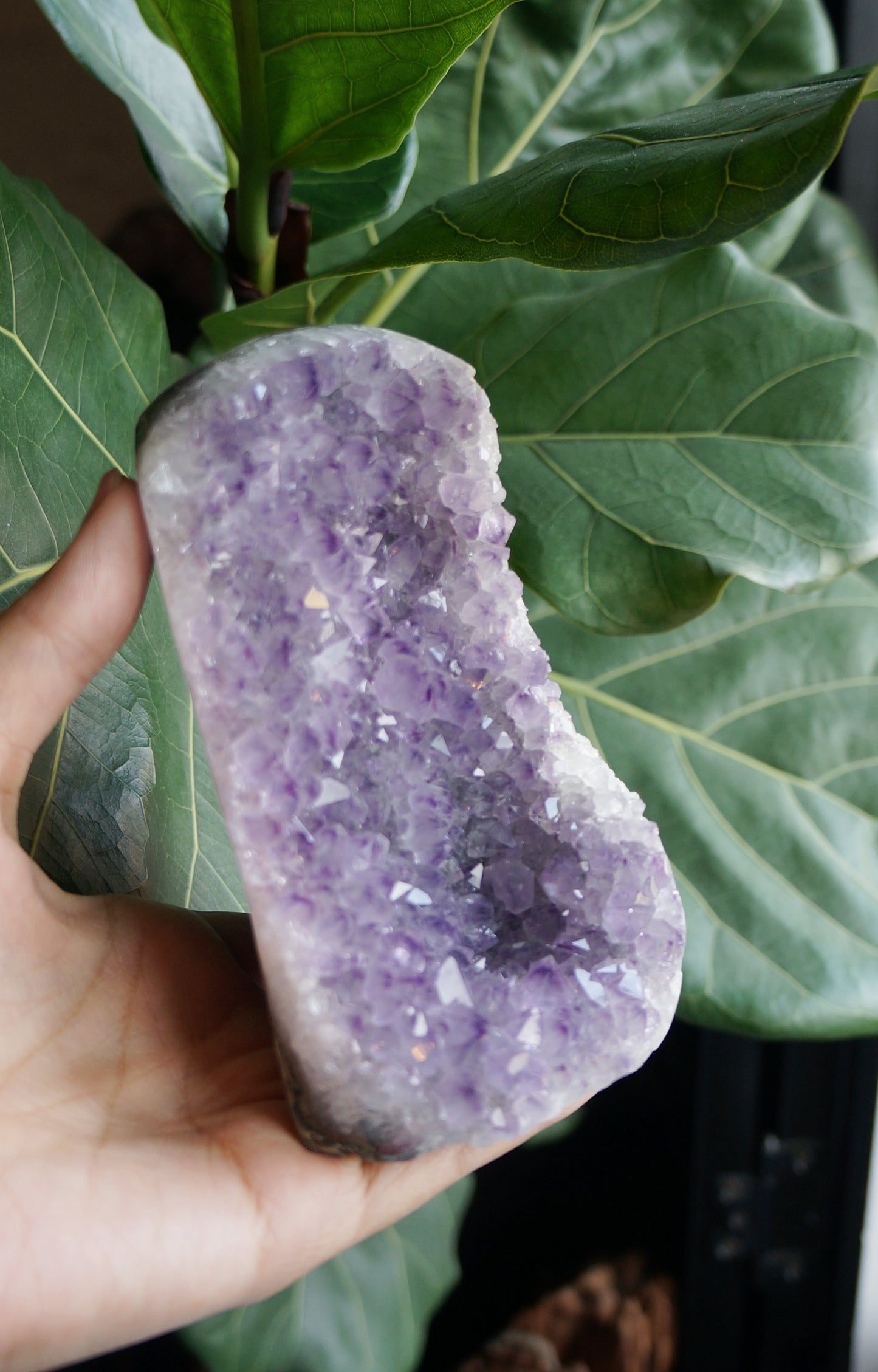 On Sale|幻影小山紫水晶鎮 T082102-1