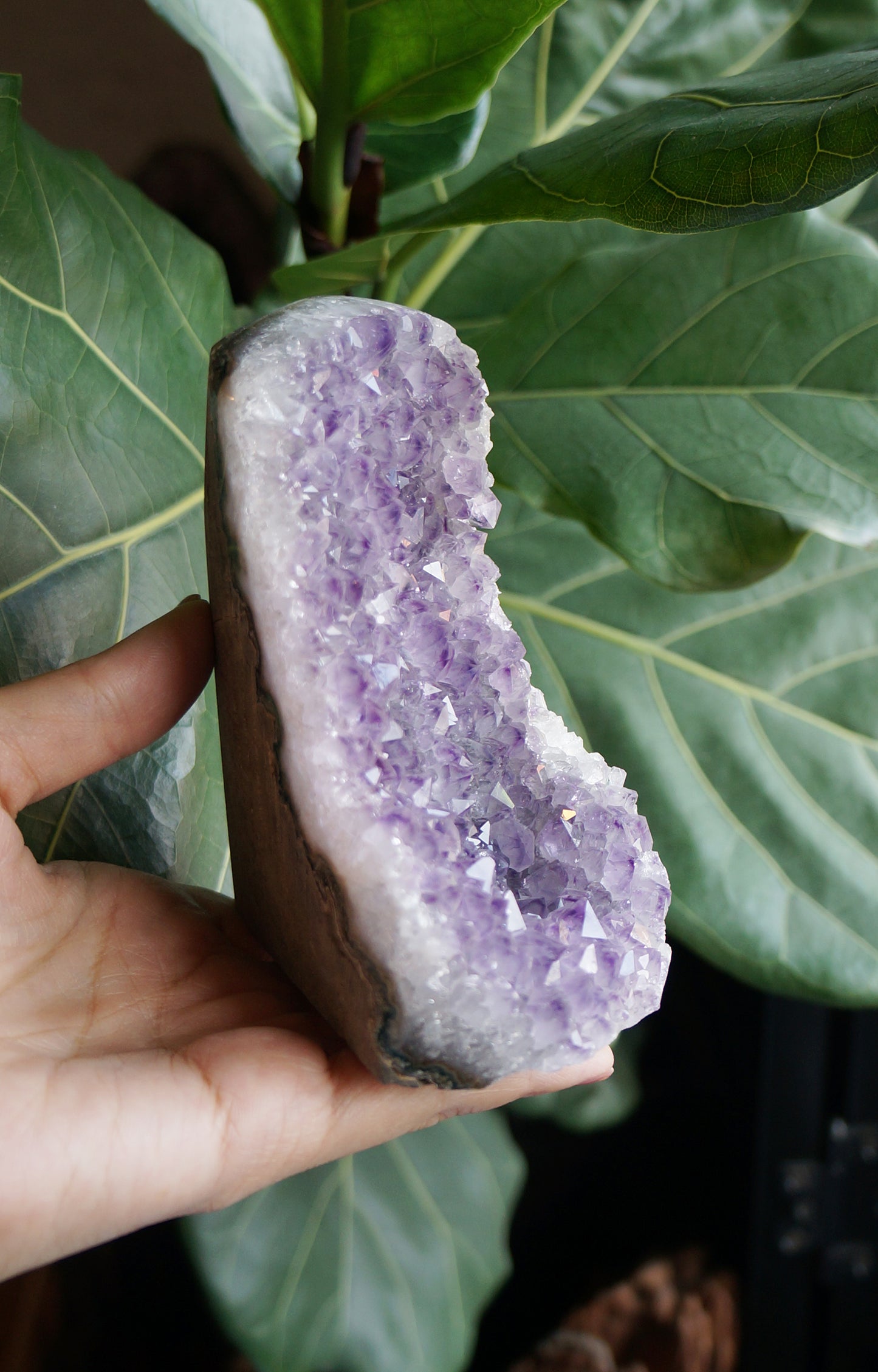 On Sale|幻影小山紫水晶鎮 T082102-1