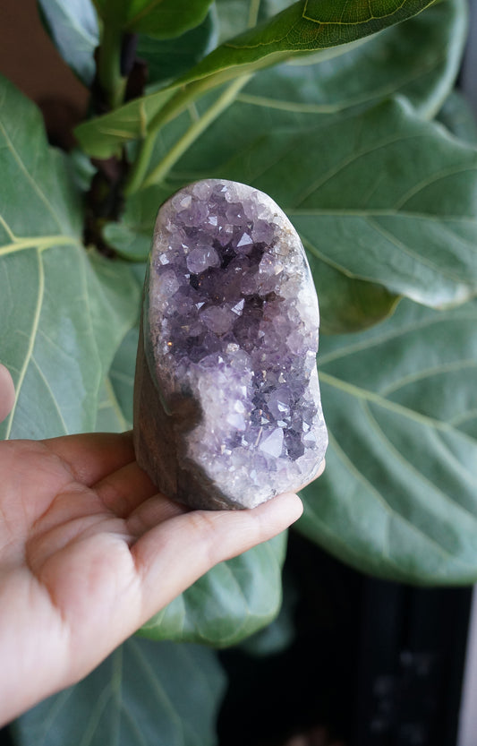 On Sale|富貴紫黃水晶鎮 T082104-3