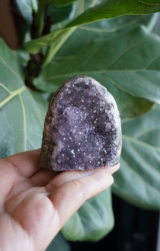 On Sale|花開富貴紫水晶鎮 T082104-4