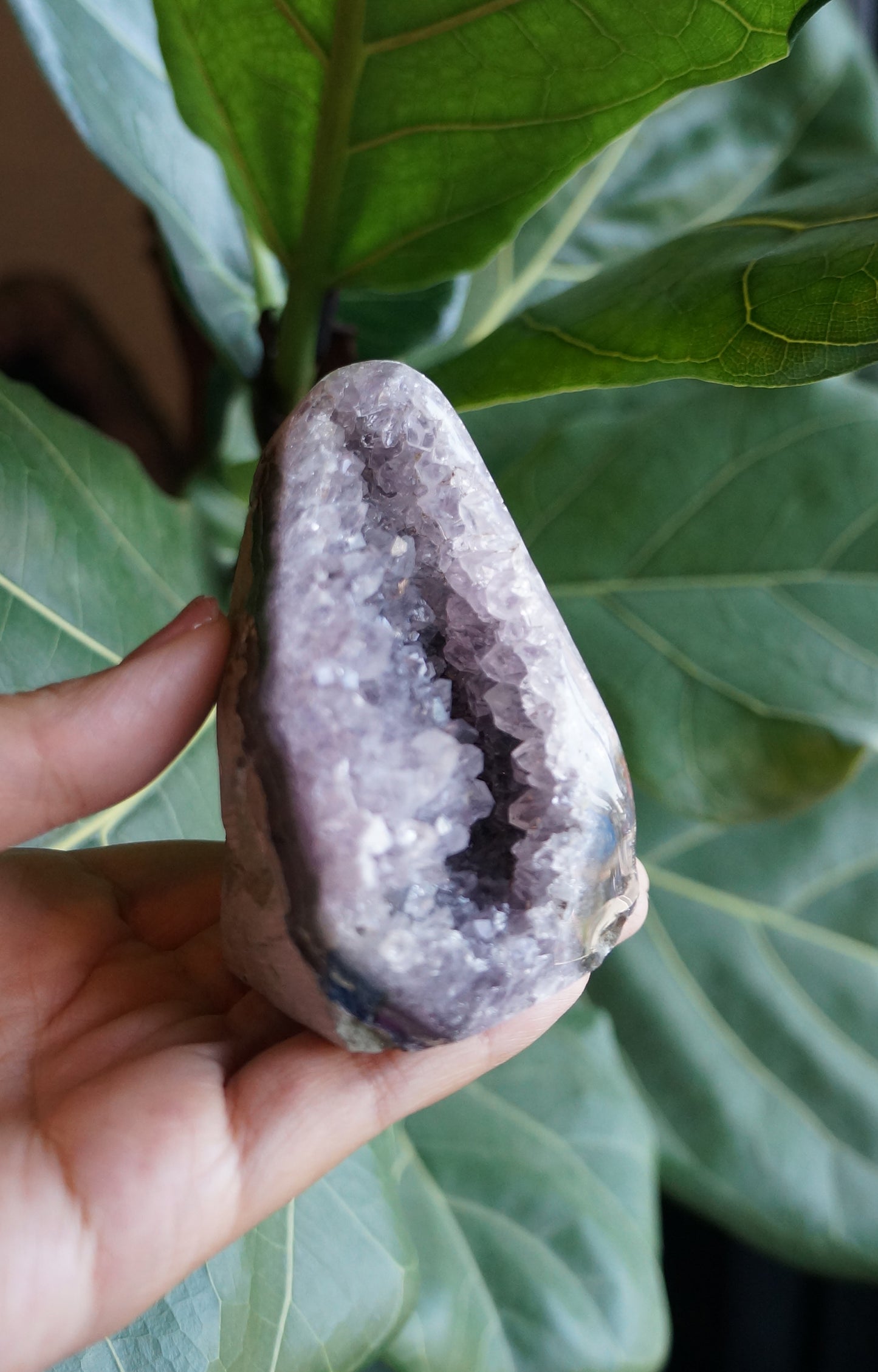 On Sale|烏拉圭紫水晶鎮 T082104-7