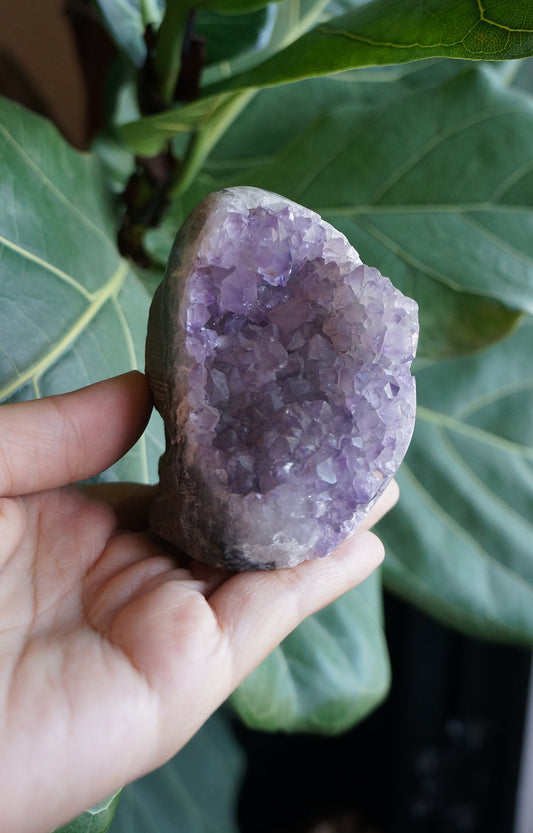 On Sale|夢幻軟牙紫晶鎮 T082105-5