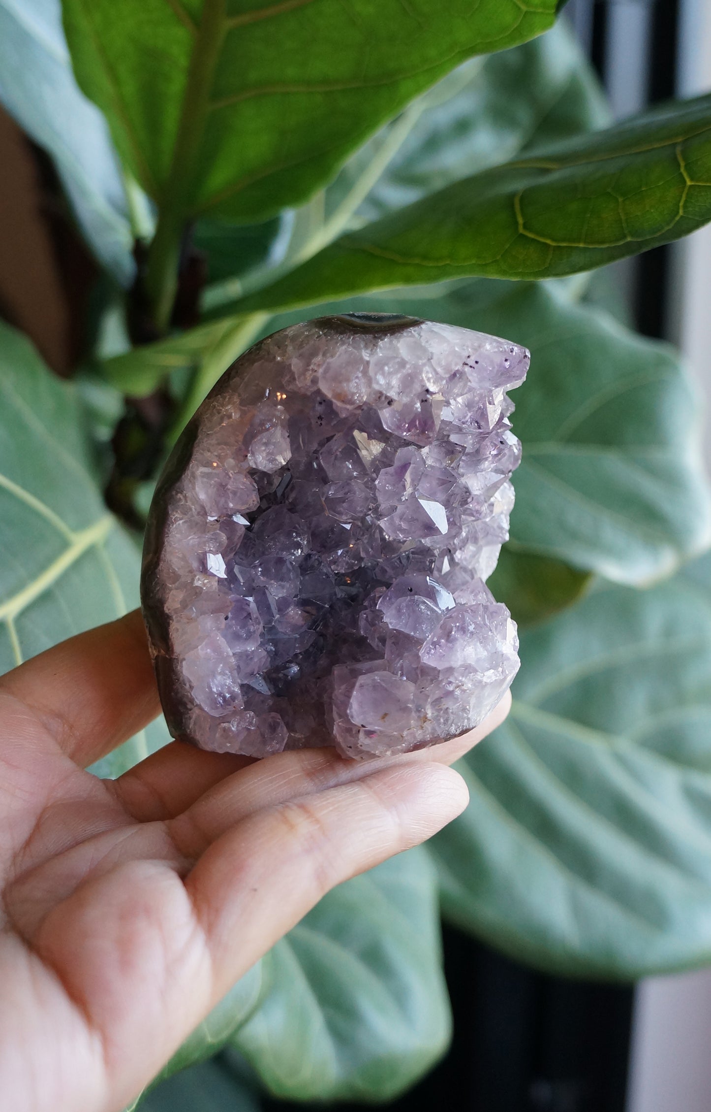 On Sale|烏拉圭紫黃水晶鎮 T082105-6