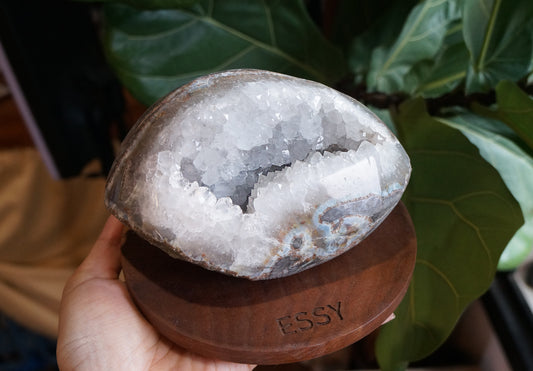 On Sale|嘴型白水晶晶鎮 T082114