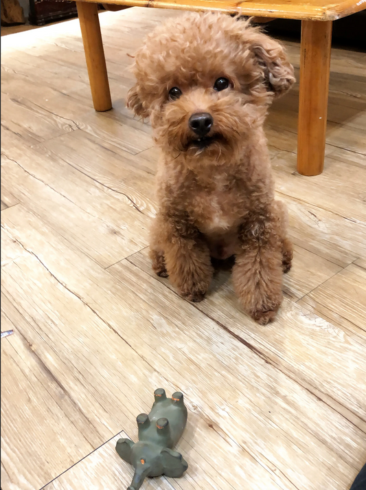Hey you ! It’s play time
