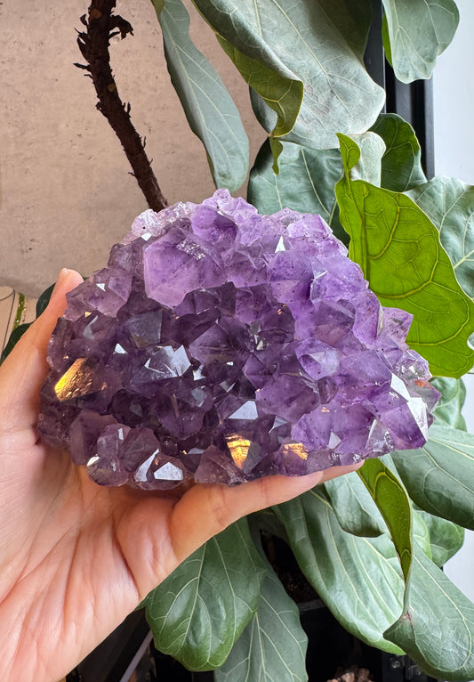 On Sale｜巴西紫水晶鎮 T081727