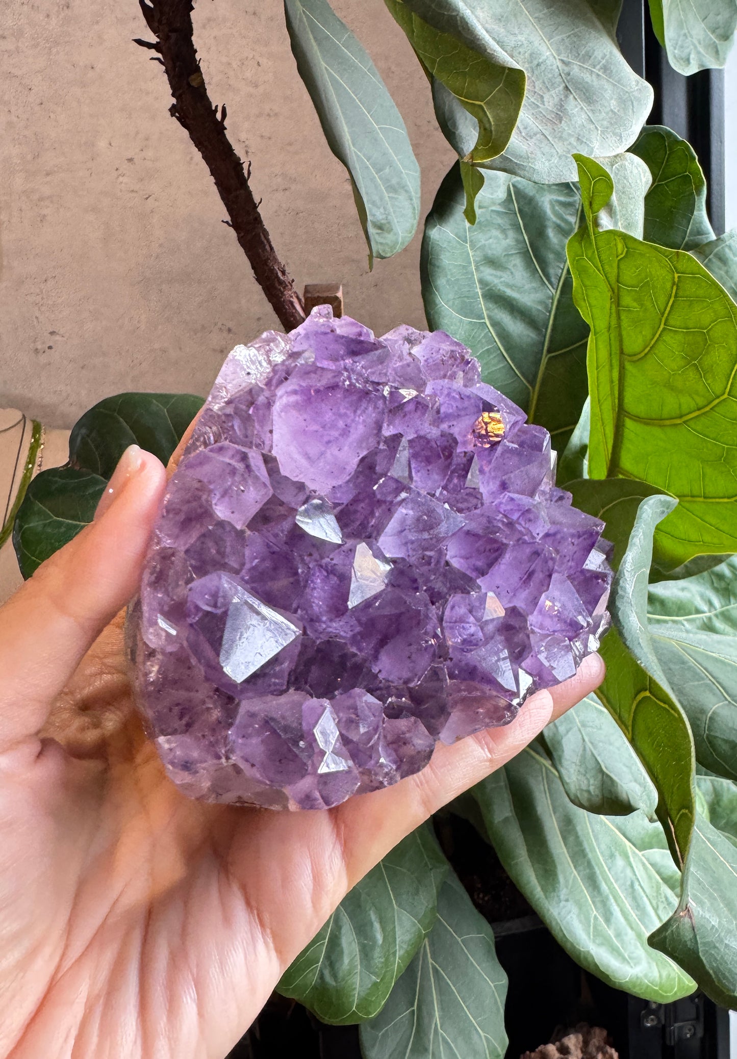 On Sale｜巴西紫水晶鎮 T081727