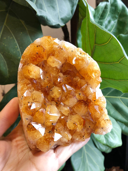 陽曜之鎮｜聚財｜大牙黃水晶晶陣