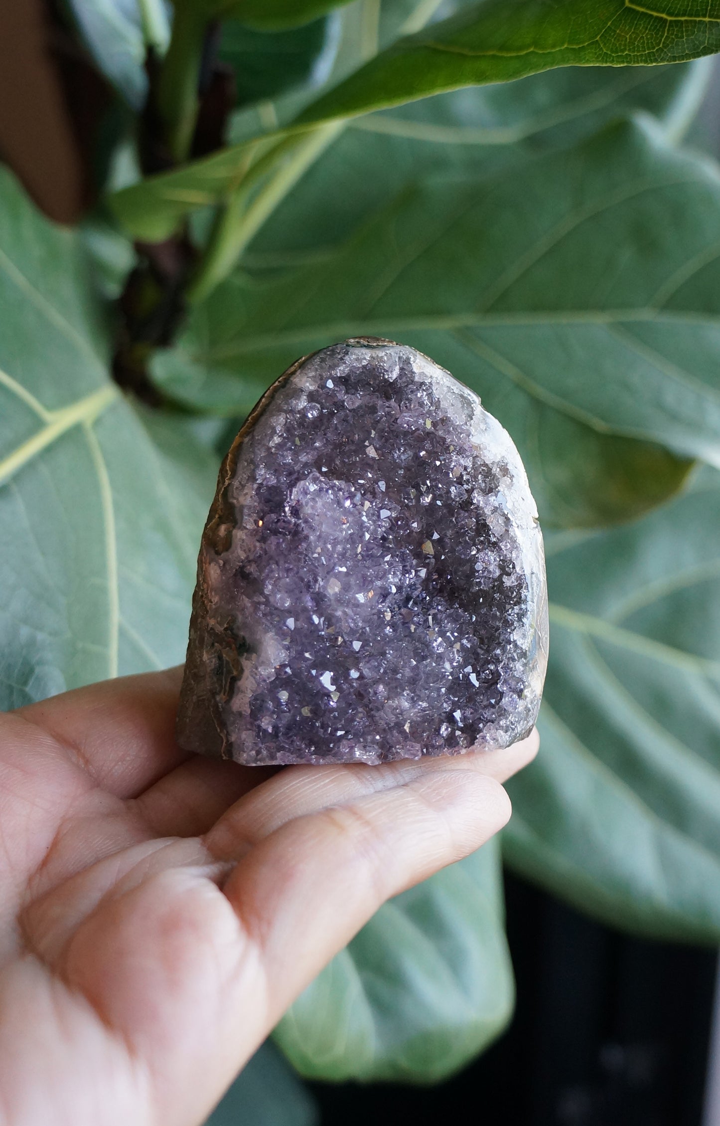 On Sale｜花開富貴紫水晶鎮 T082104-4
