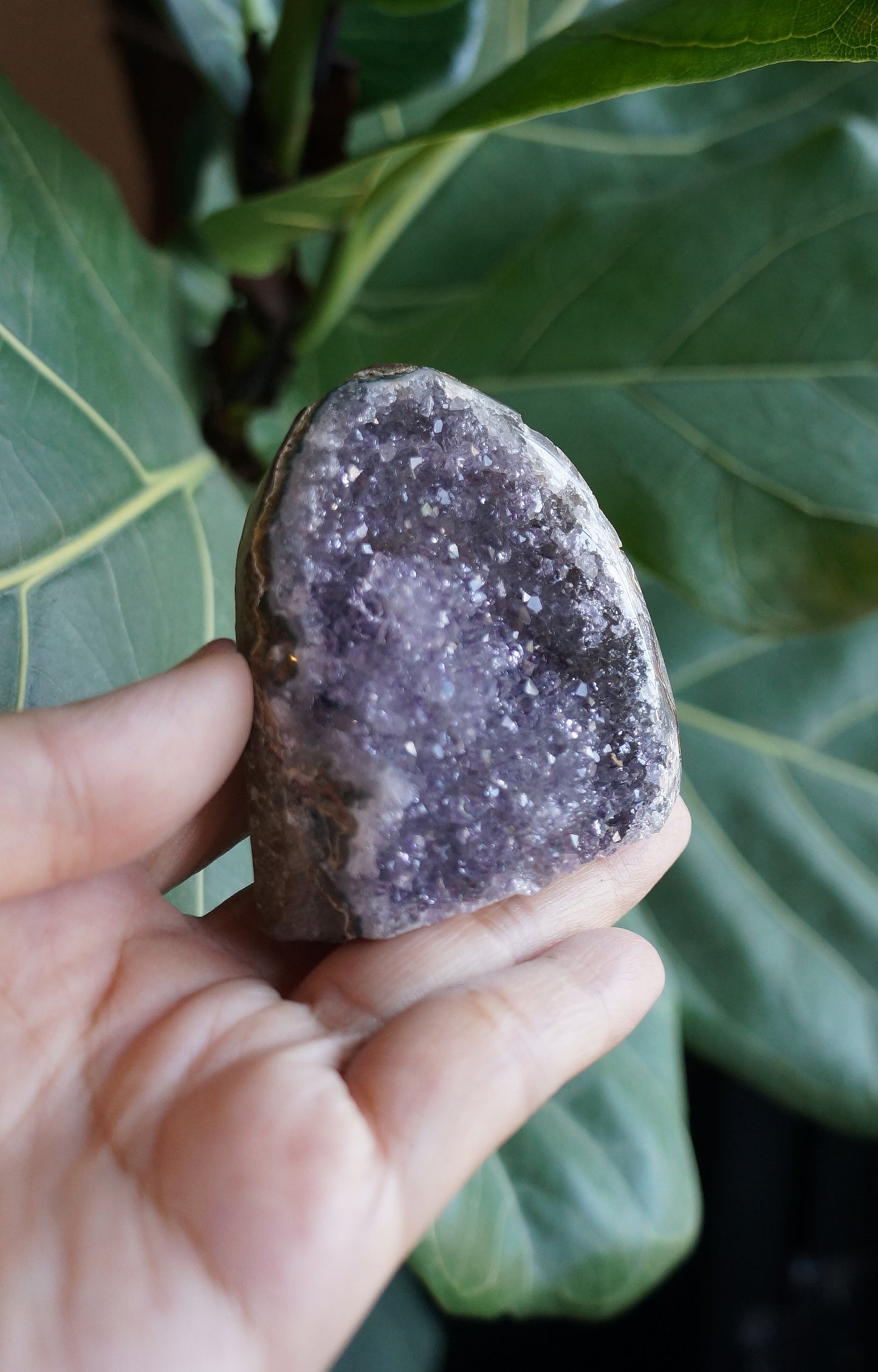 On Sale｜花開富貴紫水晶鎮 T082104-4