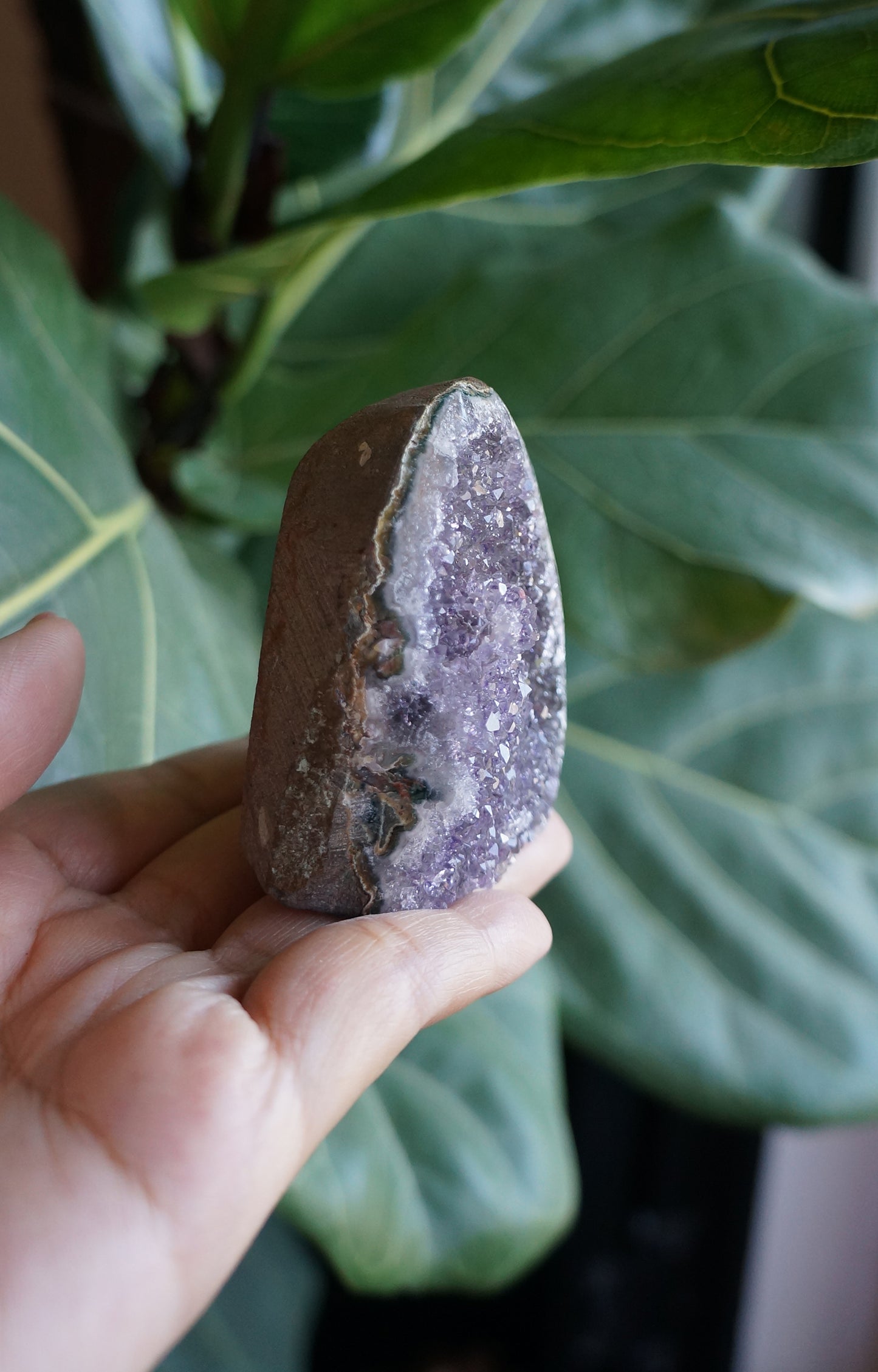 On Sale｜花開富貴紫水晶鎮 T082104-4