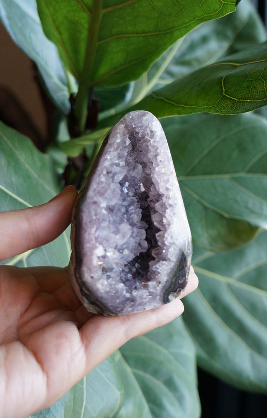On Sale｜烏拉圭紫水晶鎮 T082104-7