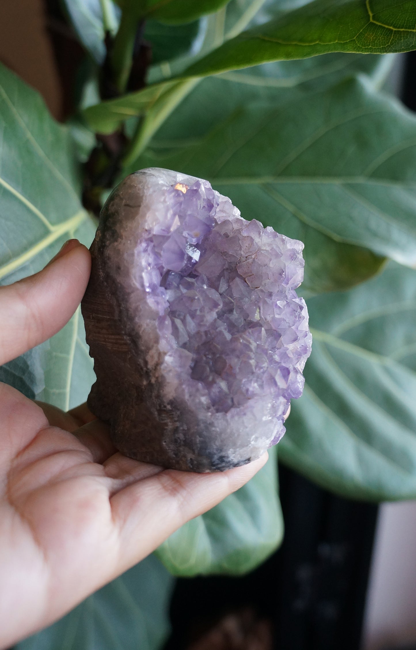On Sale｜夢幻軟牙紫晶鎮 T082105-5
